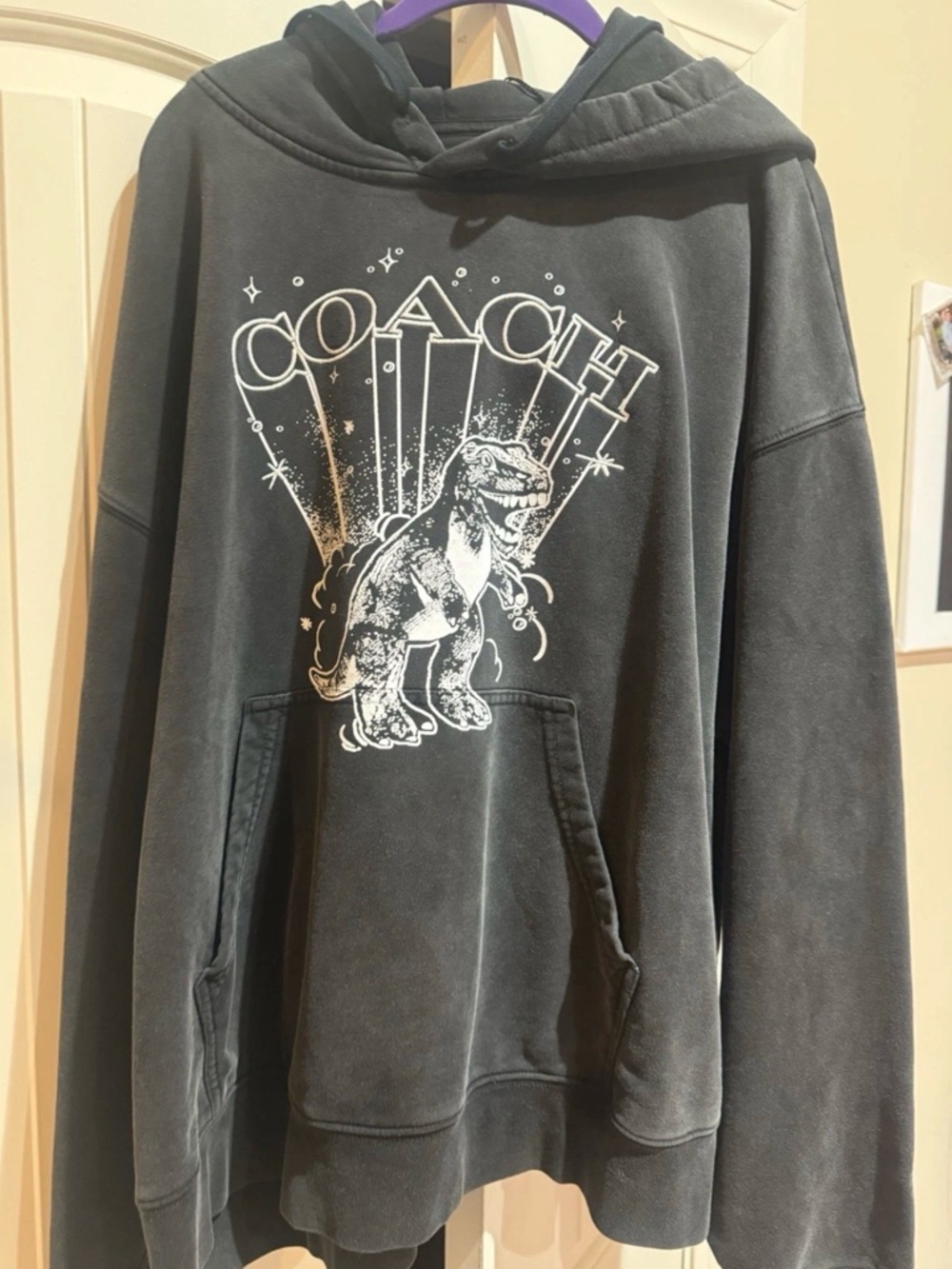 Coach Washed Black Hoodie with White & Gold T-Rex Graphic